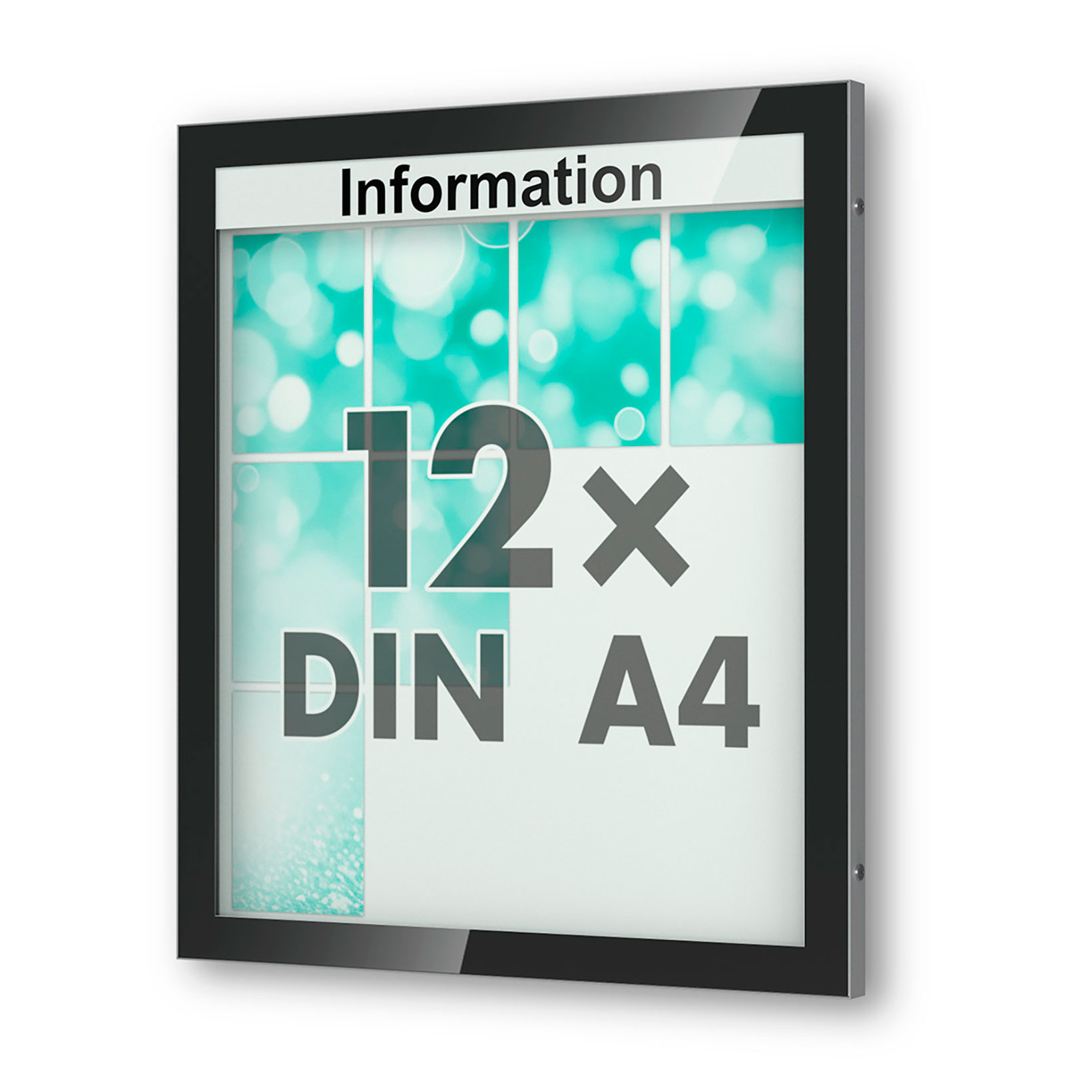 Außenschaukasten mit optionaler Beleuchtung zur Wandmontage Schaukasten Wandmontage